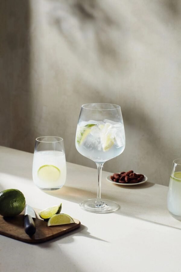 vision gin classic shot