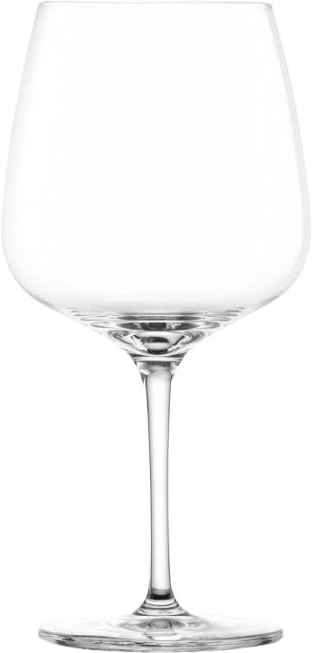 vision gin classic