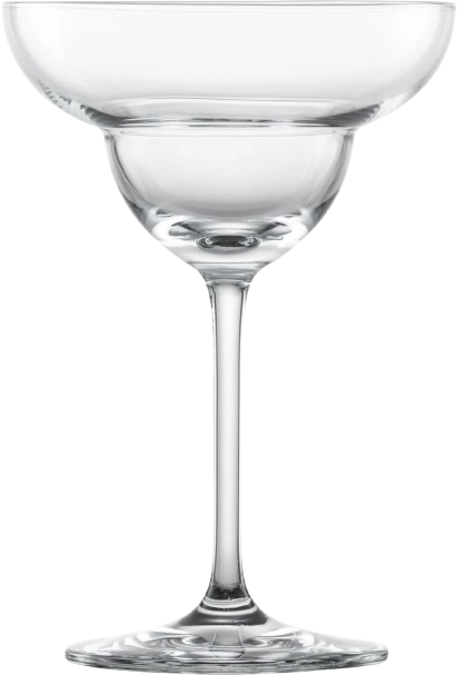 vision martini