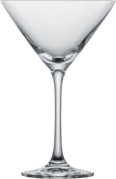 vision martini