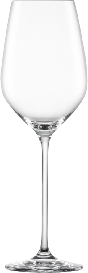vogue white tulp